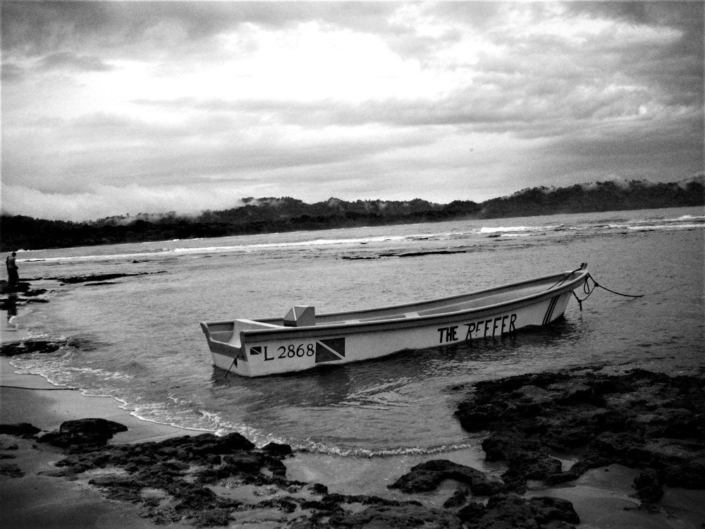 Black and white landscape