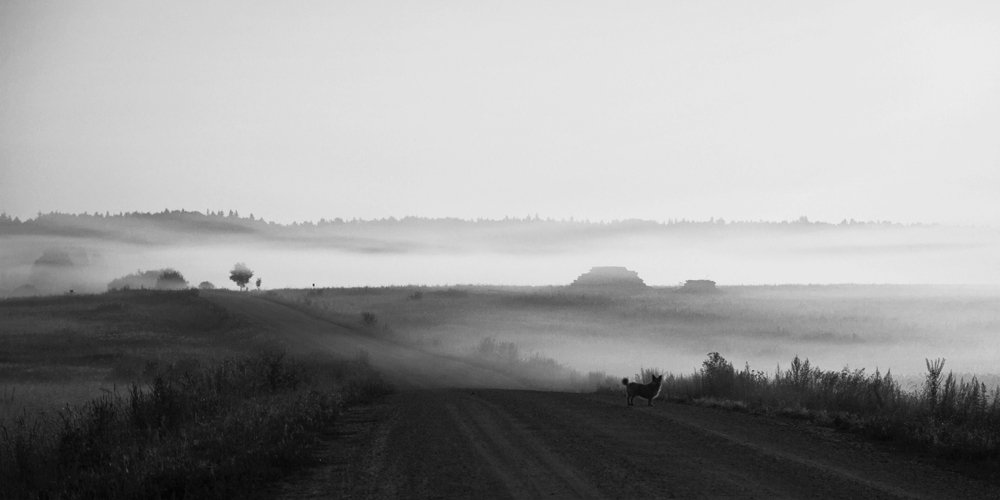 На рассвете