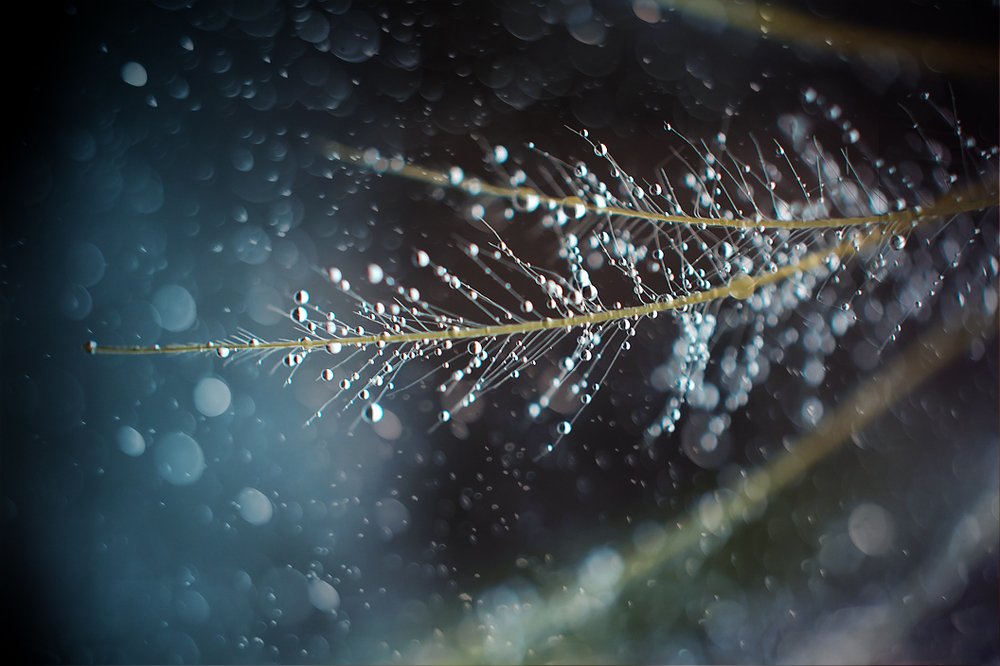 Капли на свету