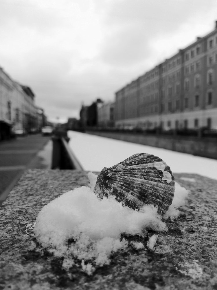 Ракушка в у реки