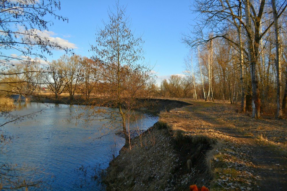 Photograph by Замазкин Графф