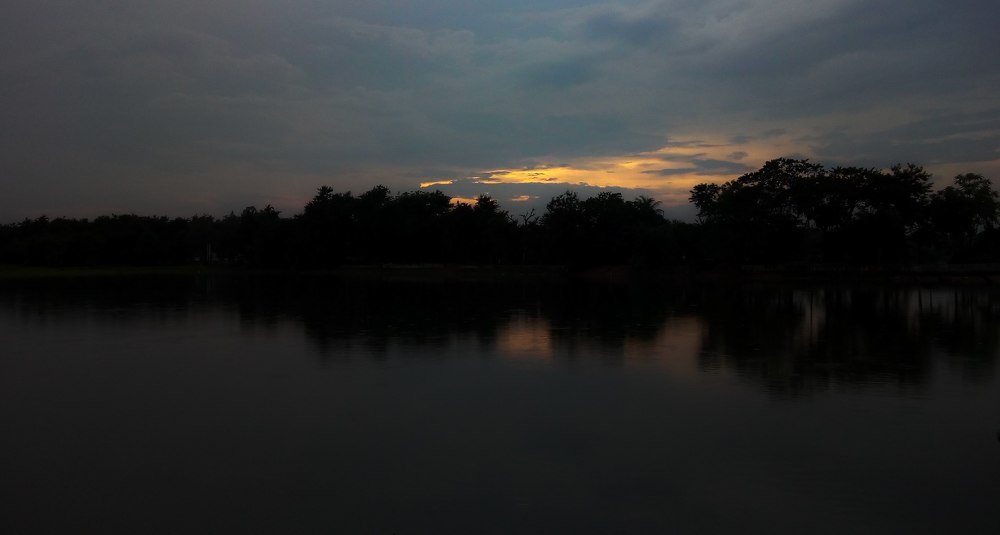 Photo #3175533