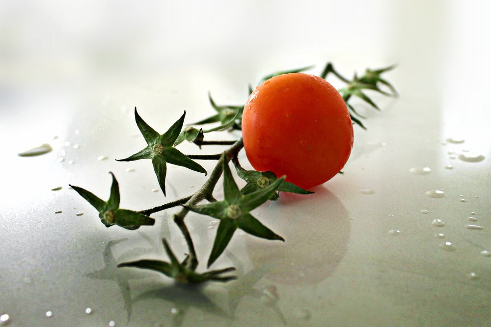 Photograph by Irina Radzinskaya