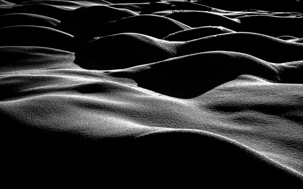 Photograph by Adl Abdolahi