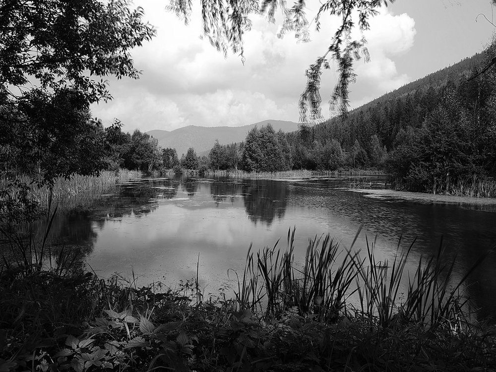 Прикарпатье