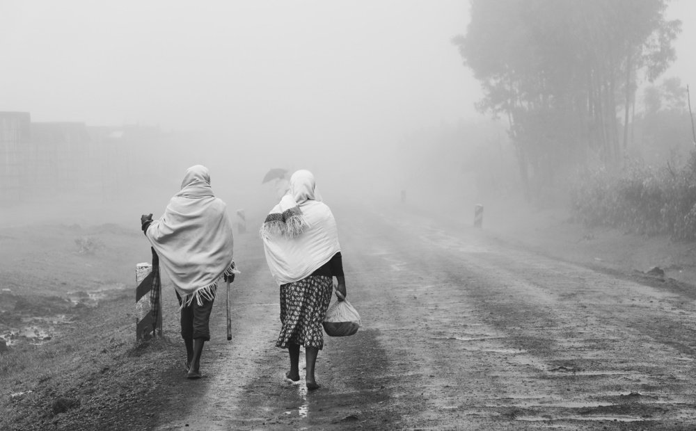 walk with fog