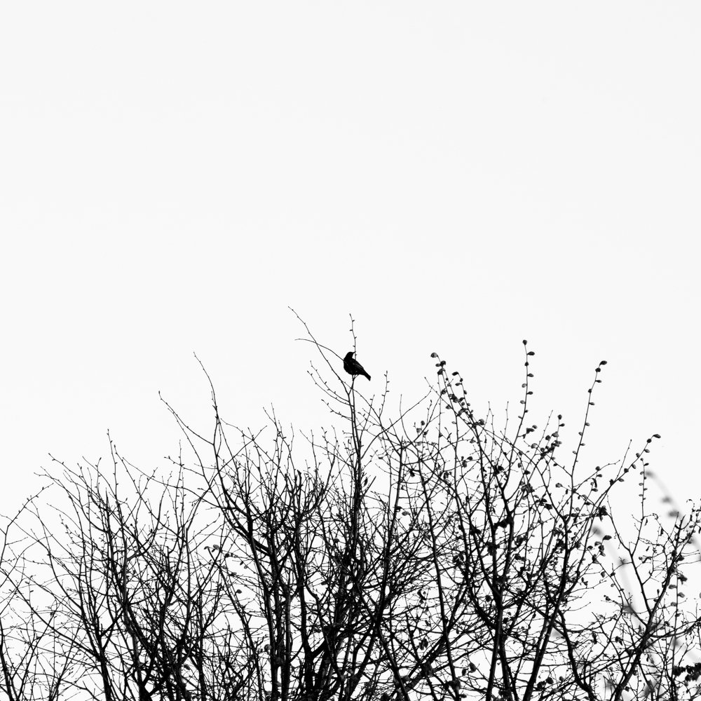 Photograph by Emilija Juškovė