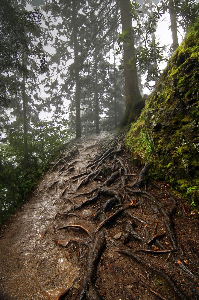 ОБНАЖЕННЫЕ НЕРВЫ ЗЕМЛИ