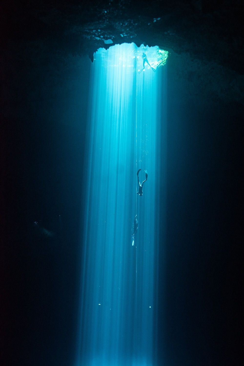 Freedivers in a Cenote