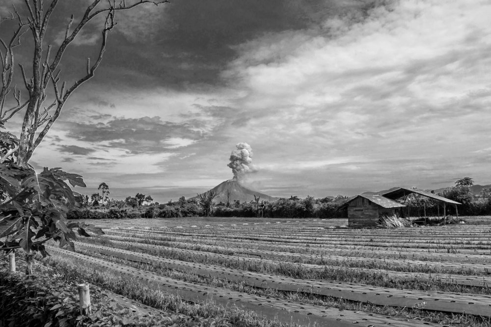 We coexist with the volcano