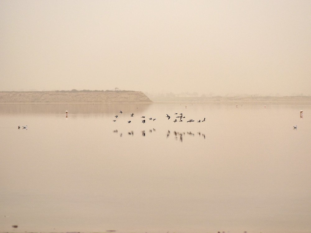 Photograph by Natalya  Kovalevskaya