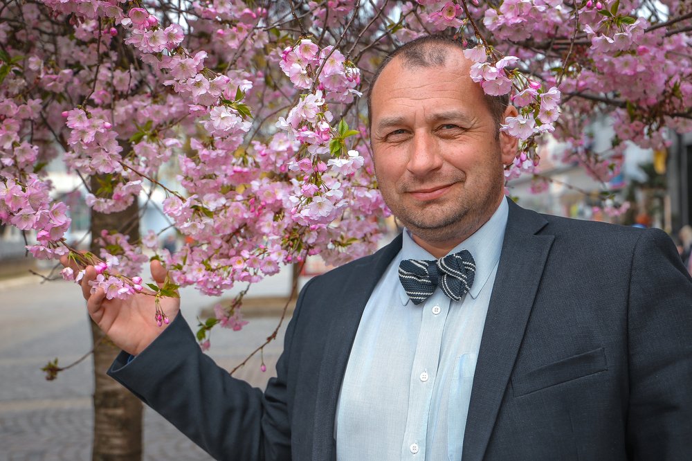 У цветущей сакуры