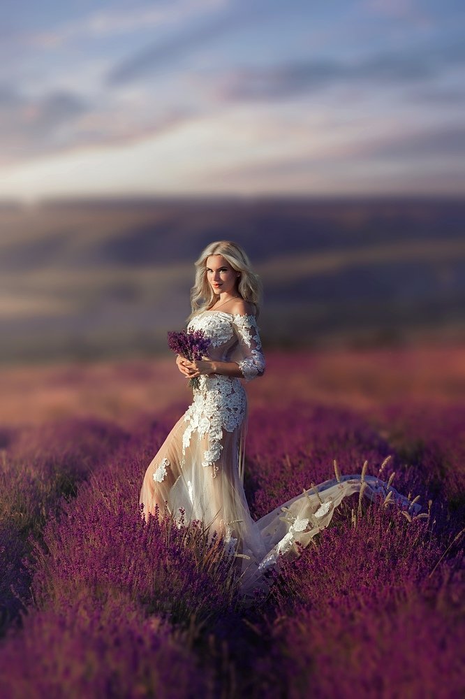 Лавандовое море