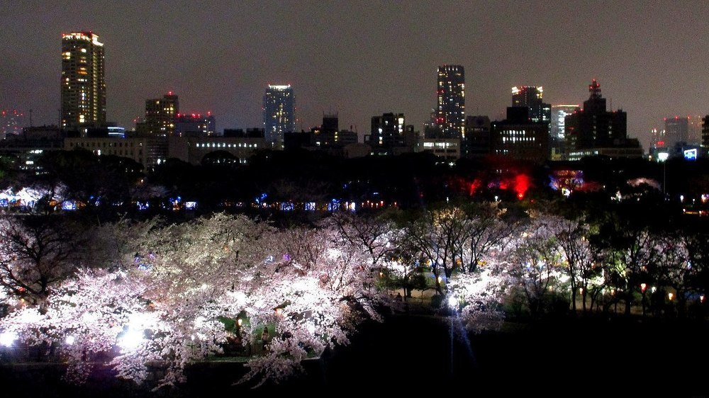 Ночной Токио.../ Tokyo At Night...