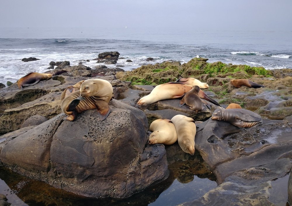 Photograph by Aleksandra