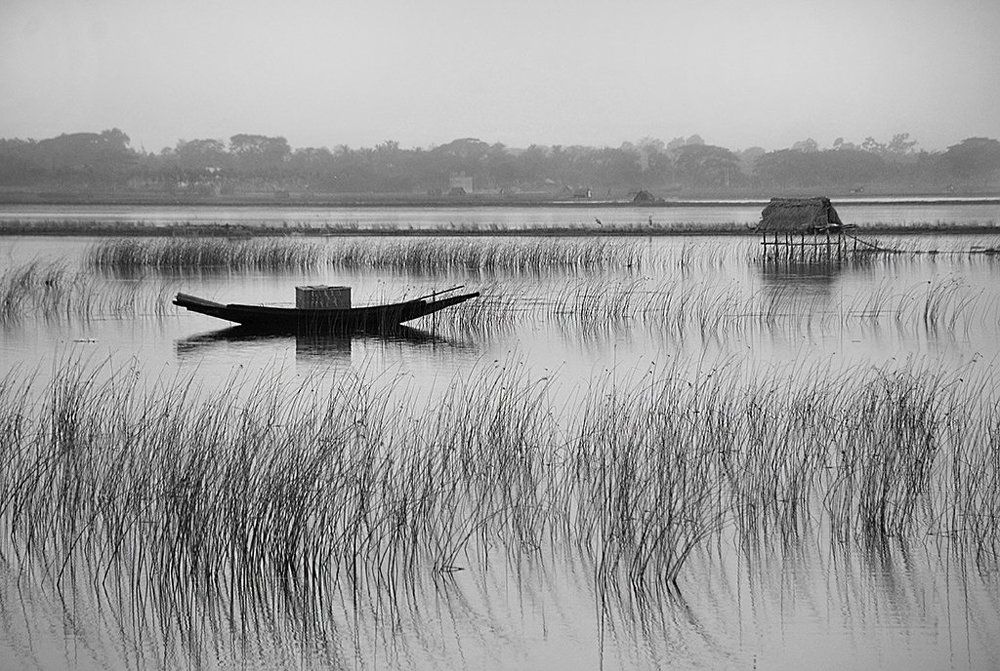 RURAL LANDSCAPE