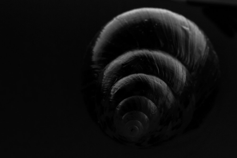 Photograph by Kirill Koshed