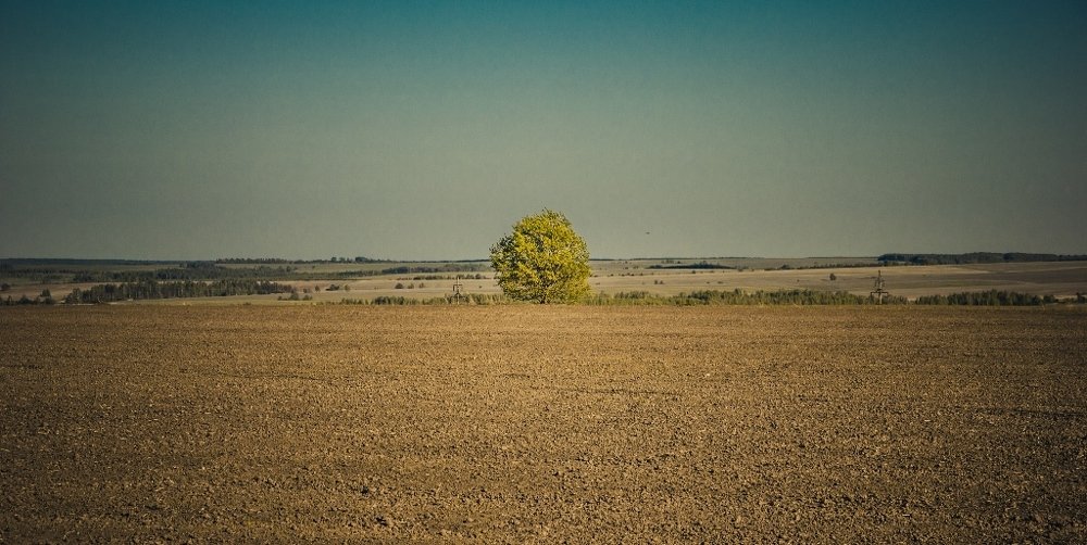 Photograph by Kirill Koshed