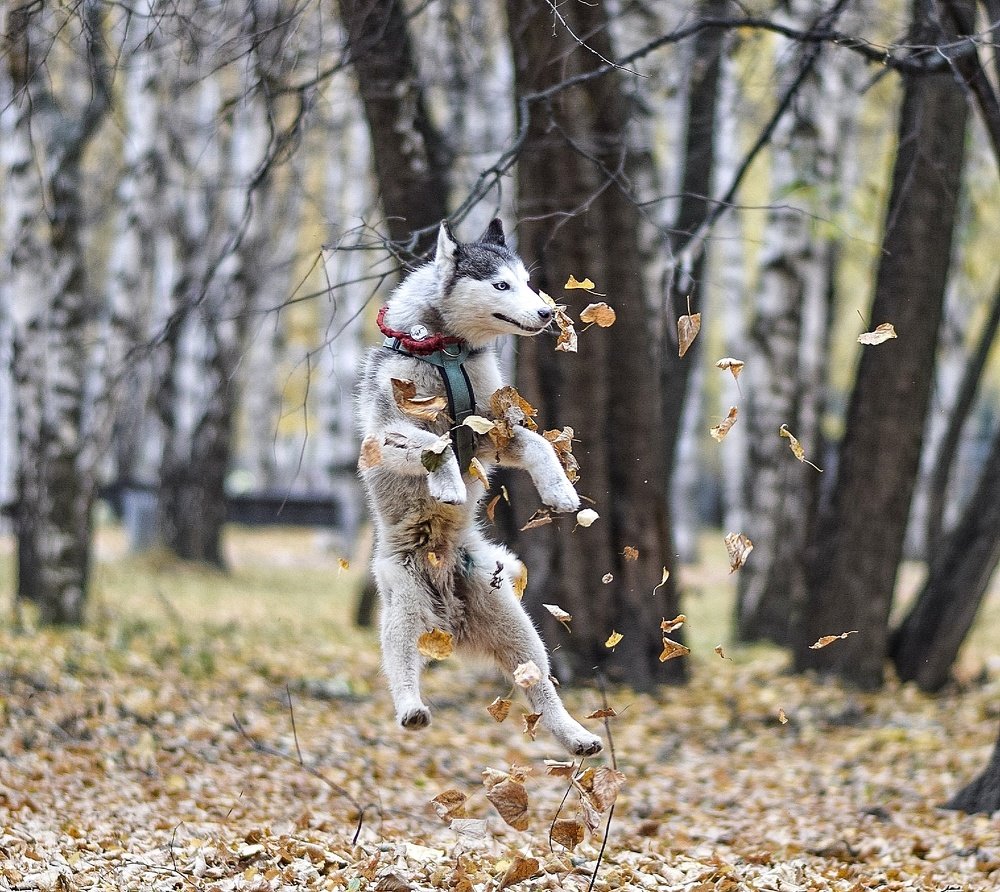 Фотография автора Мария Яропольская