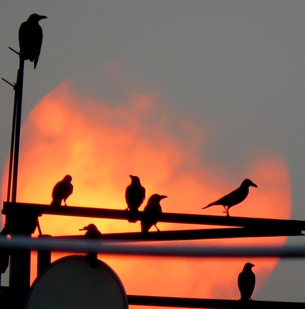 Sun set