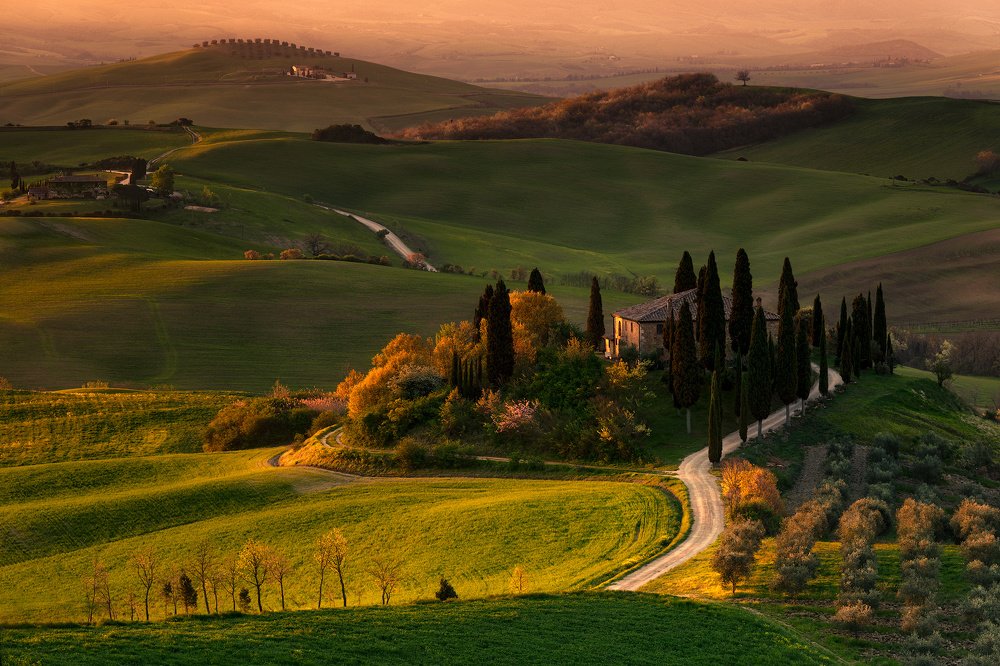 Tuscan Dreams