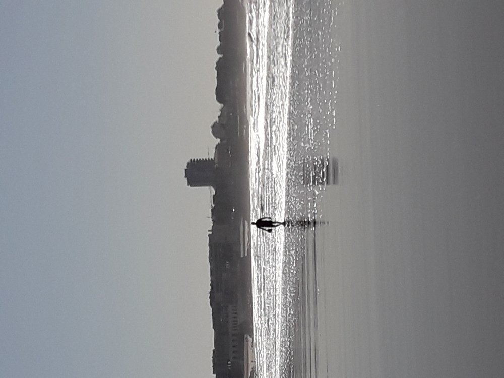 Photo #3177252