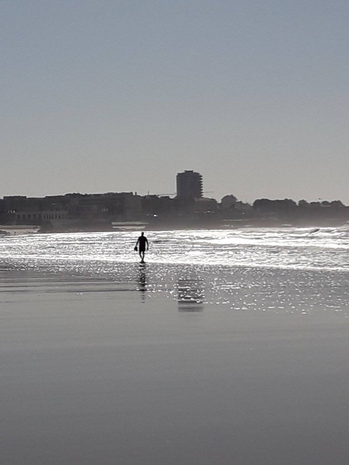 Photo #3177252