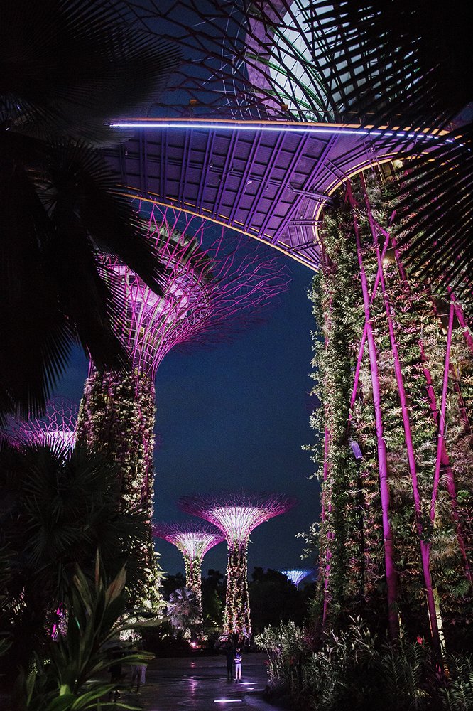 Ночной Сингапур