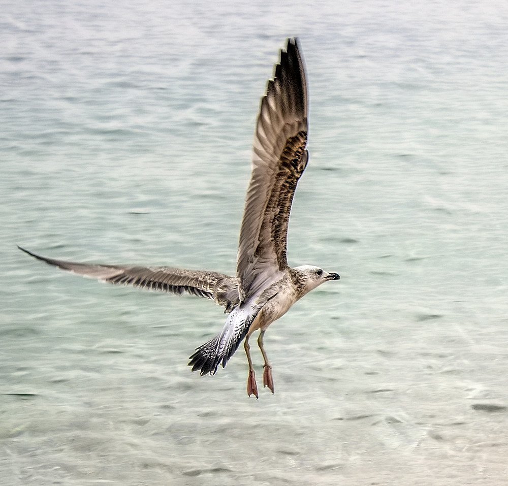 И полетели...