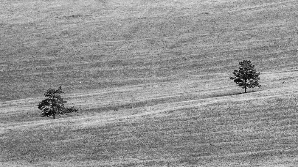 Ольхонская пара.