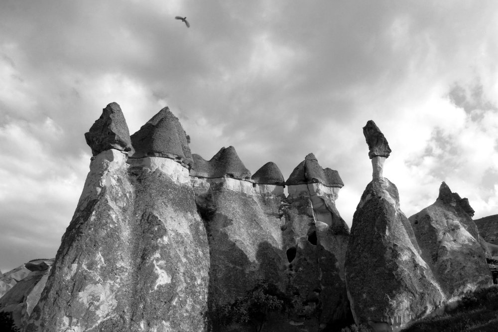 Photograph by Марина Раткун