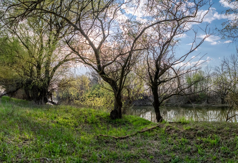 Photograph by Рустам Тулендеев