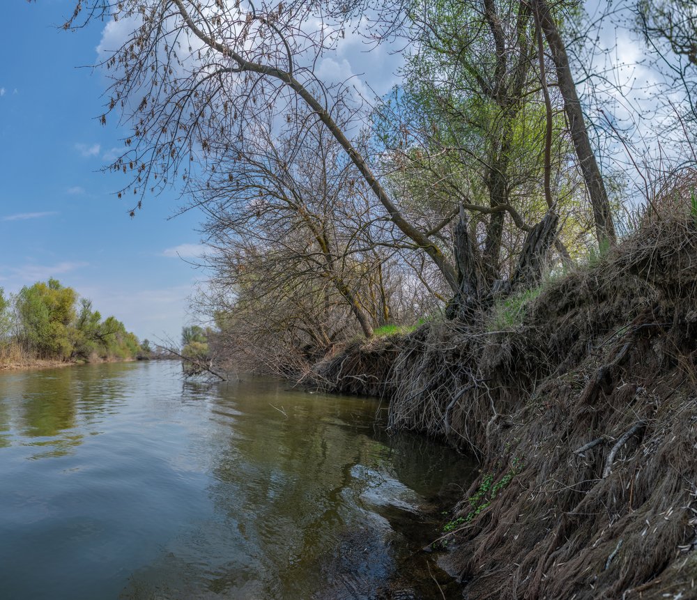 проток в дельте Волги