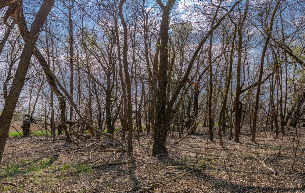 Photograph by Рустам Тулендеев