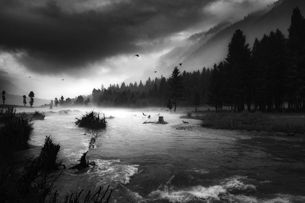 Poetry of the Earth !