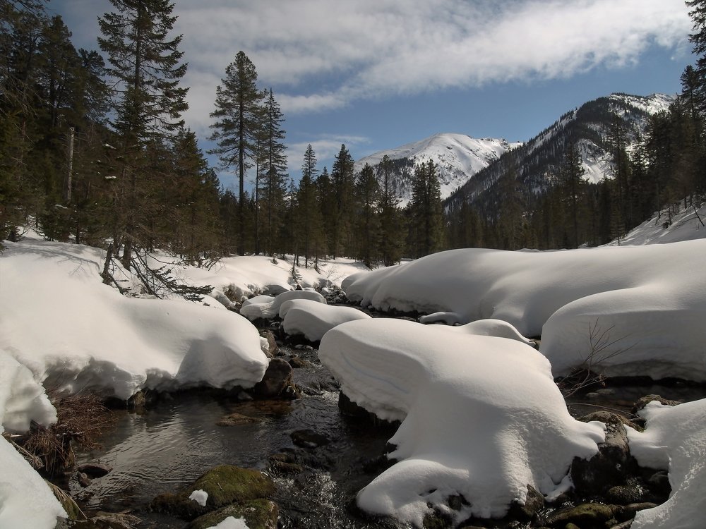 Весна на Хамар-Дабане