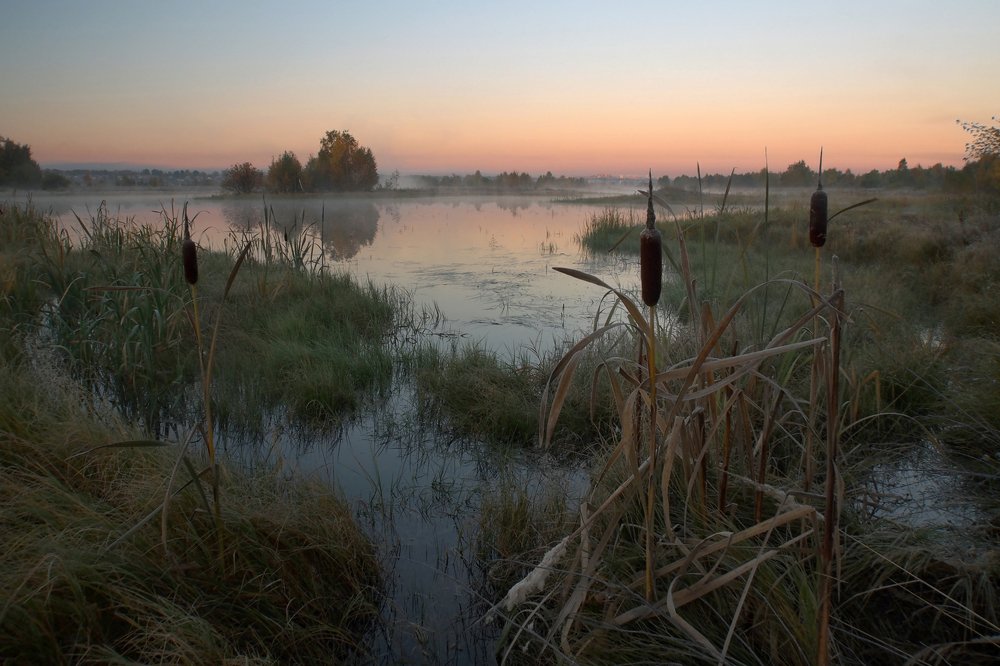 Осеннее утро