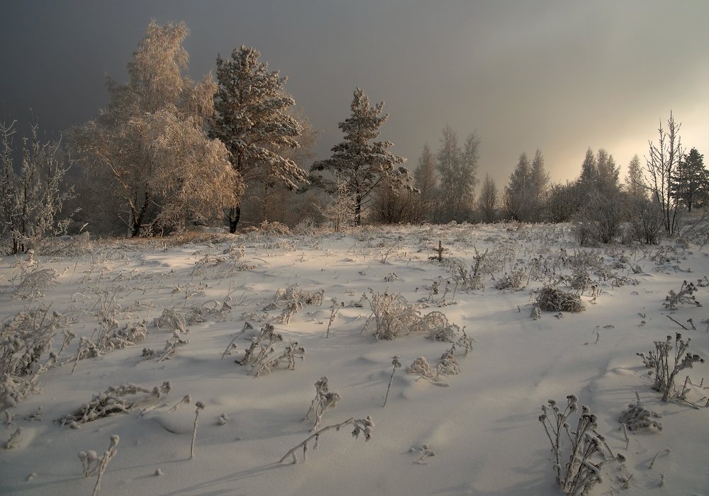 Полдень, 31 декабря