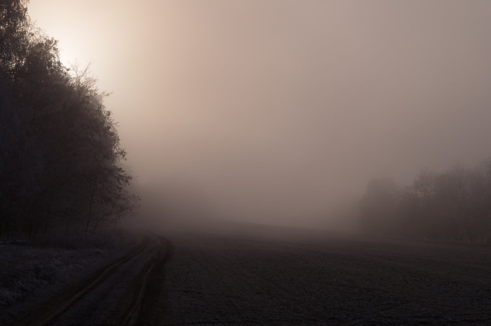 Туманное утро
