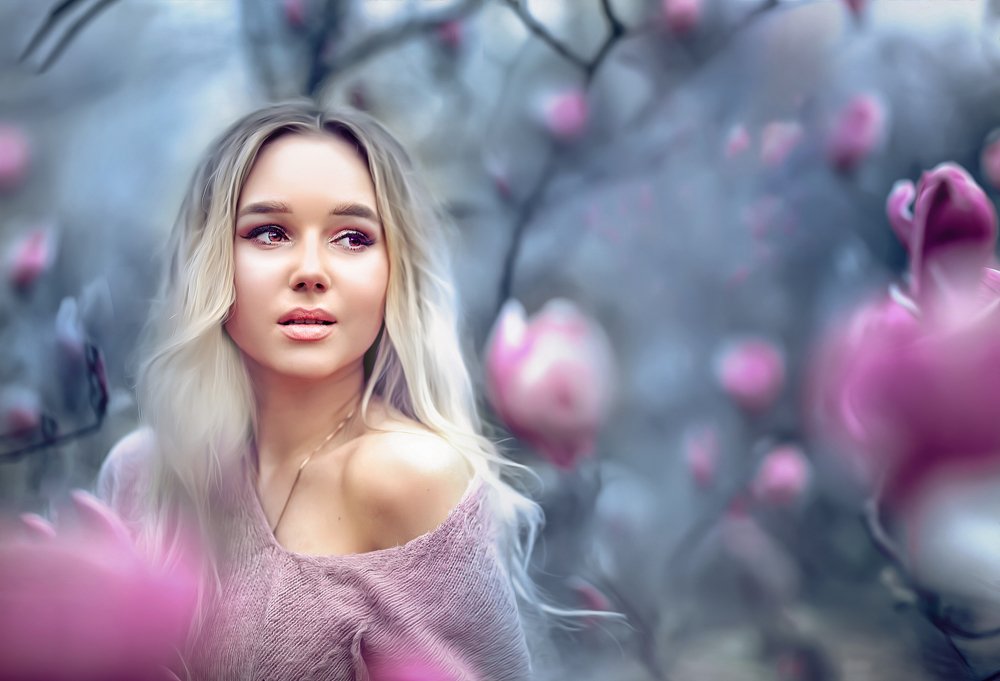 В Магнолиевом лесу