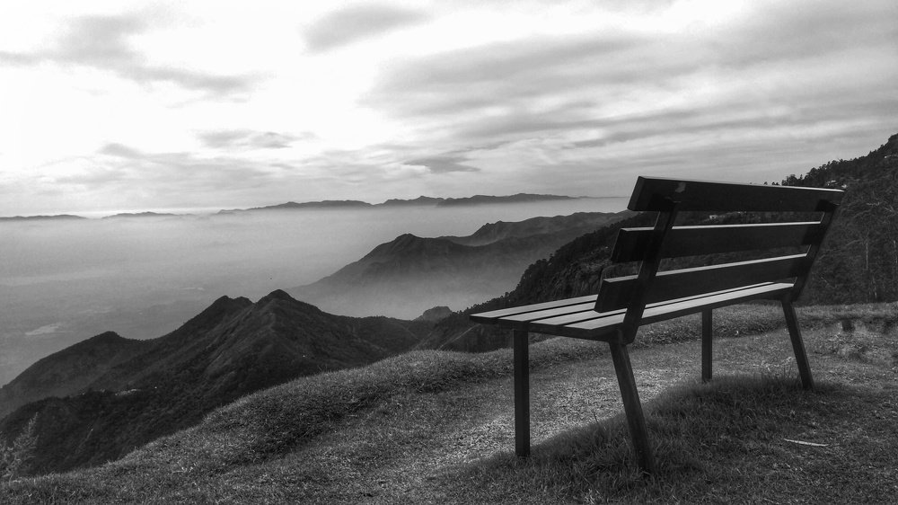 Alone...