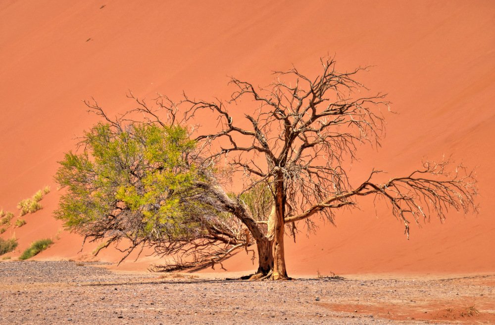 Sossusvlei