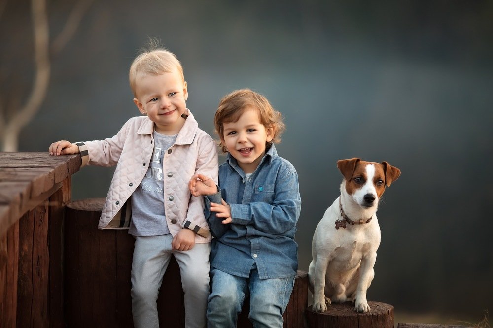 Фотография автора Анна Крутицкая