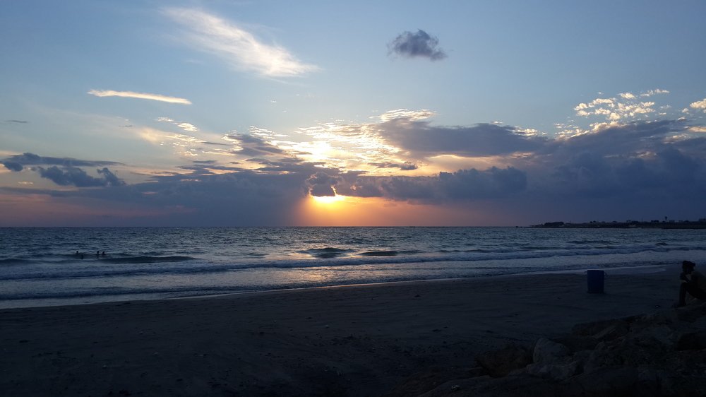 Photograph by mahmoud shihabi moni