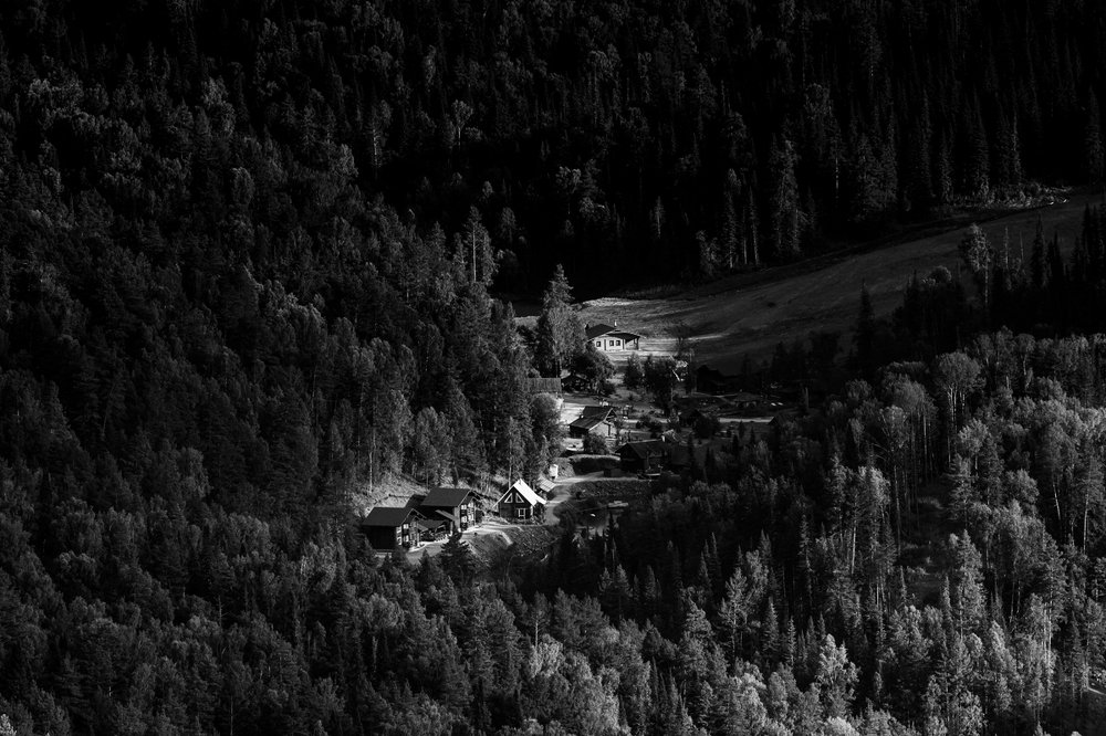 Светлый островок.