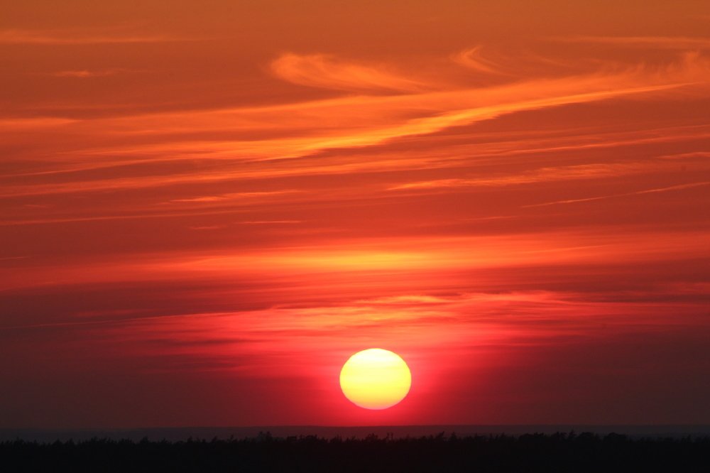 Photograph by Виталий