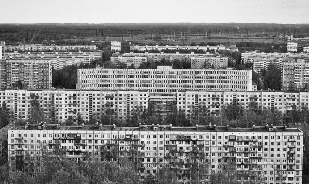 Пчелино-человечьи соты (Human bee honeycomb)