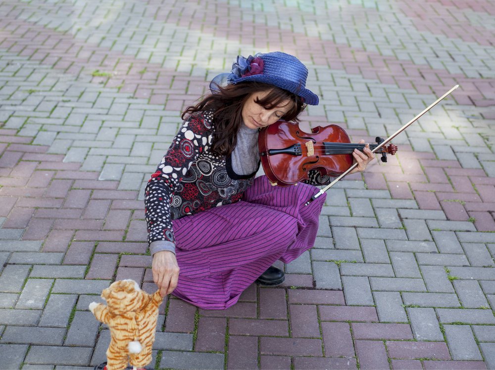 скрипач и кошка