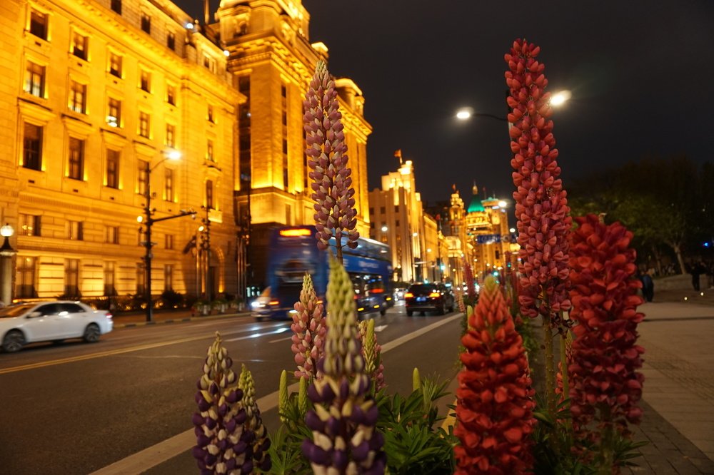 Bund