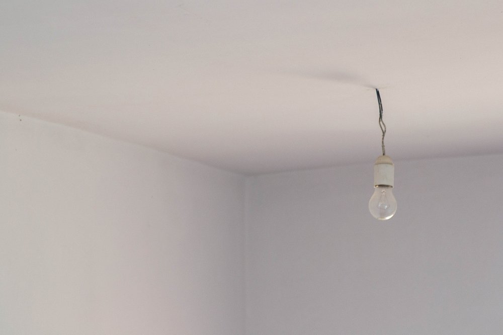 conceptual light bulb